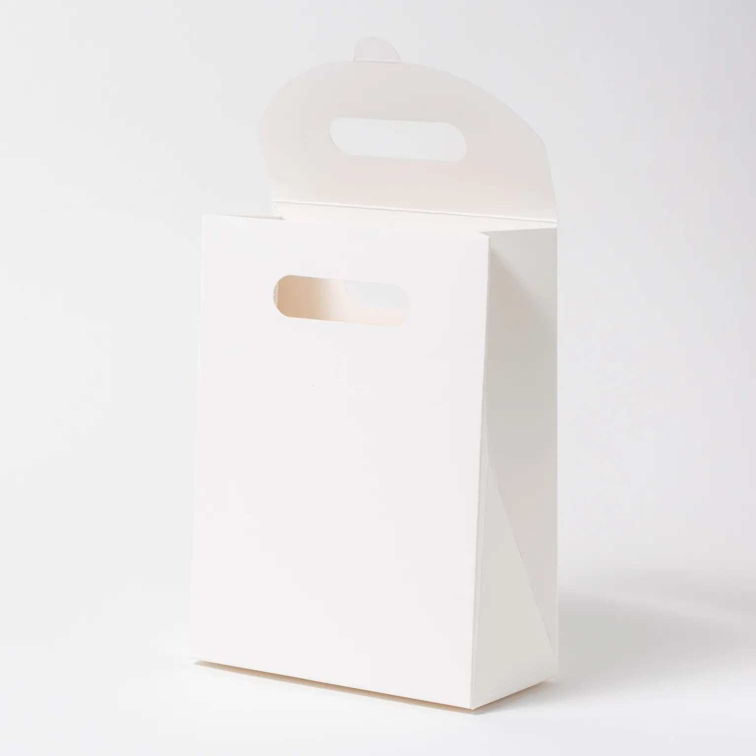 Nバック オフホワイト 100