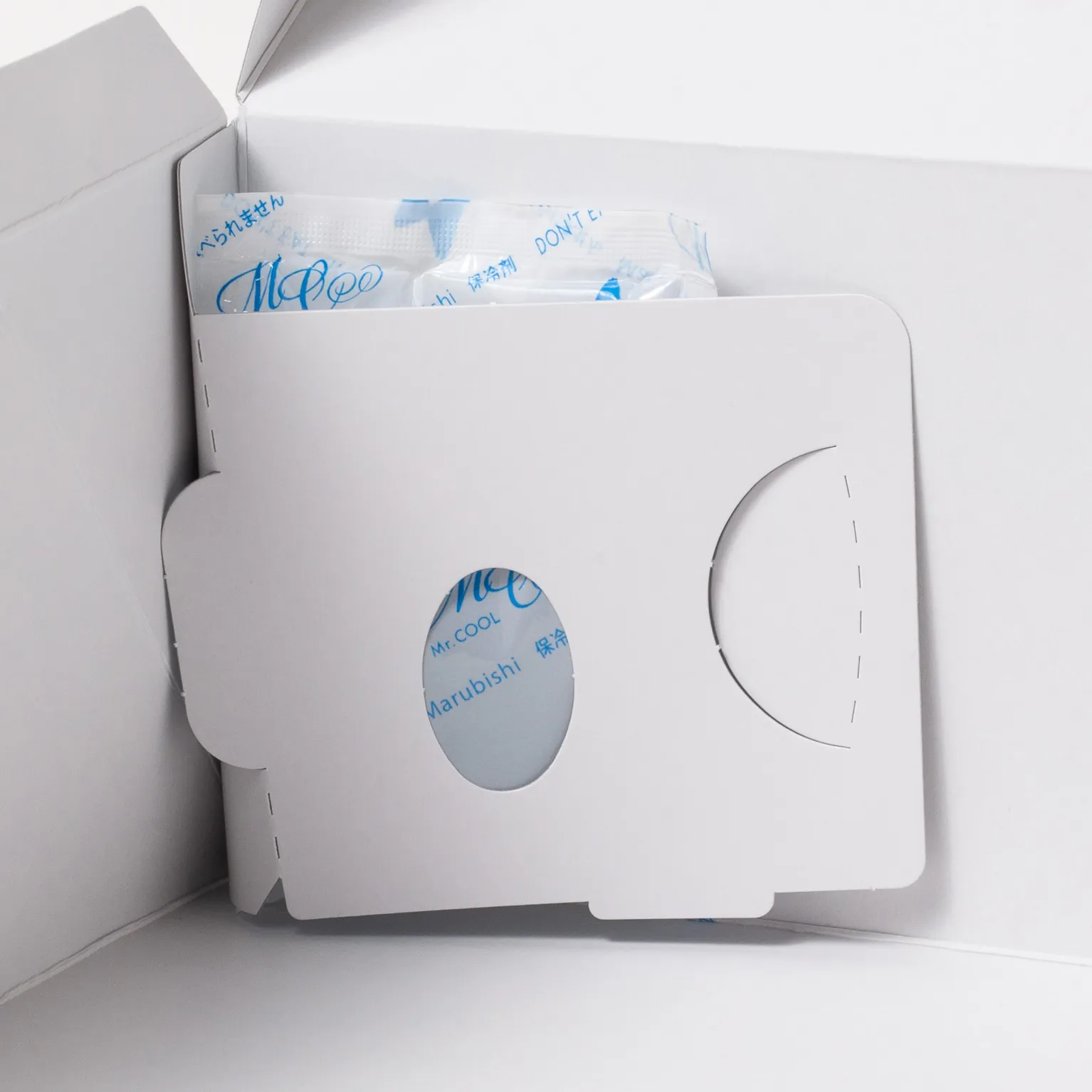 ロックBOX105 ホワイト 6×8