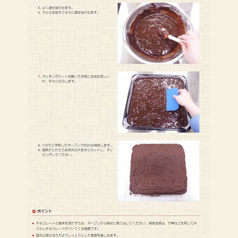 特宝笠 2.5
