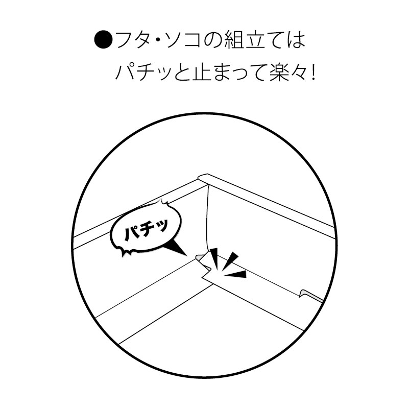 DG66 チョコ #2408 100