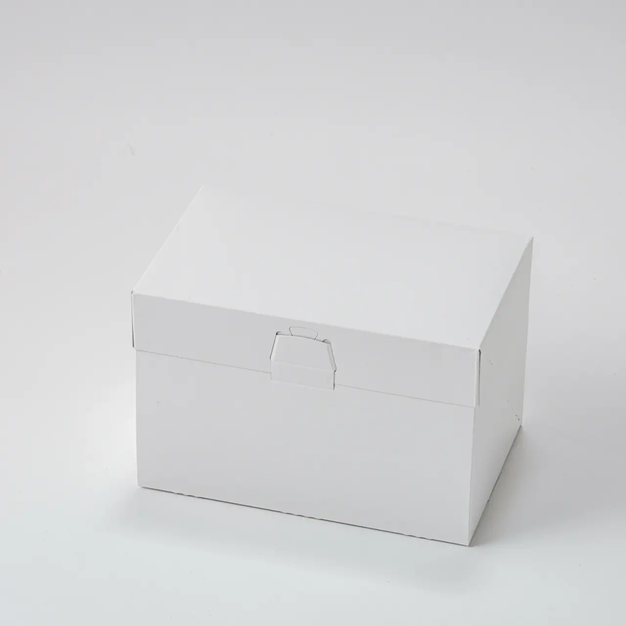 ロックBOX120 ホワイト 4×6 50