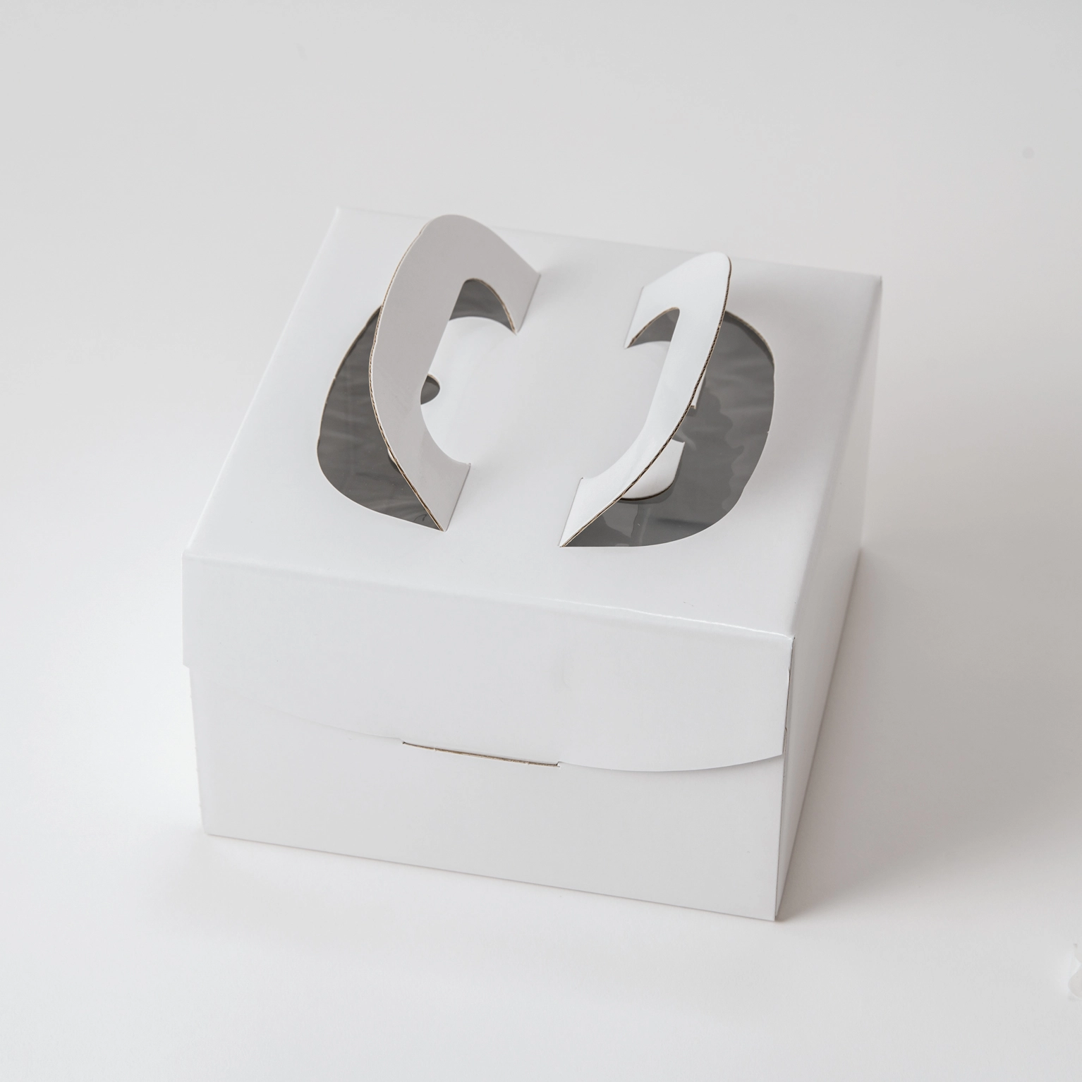 FB ホワイト 5寸 25