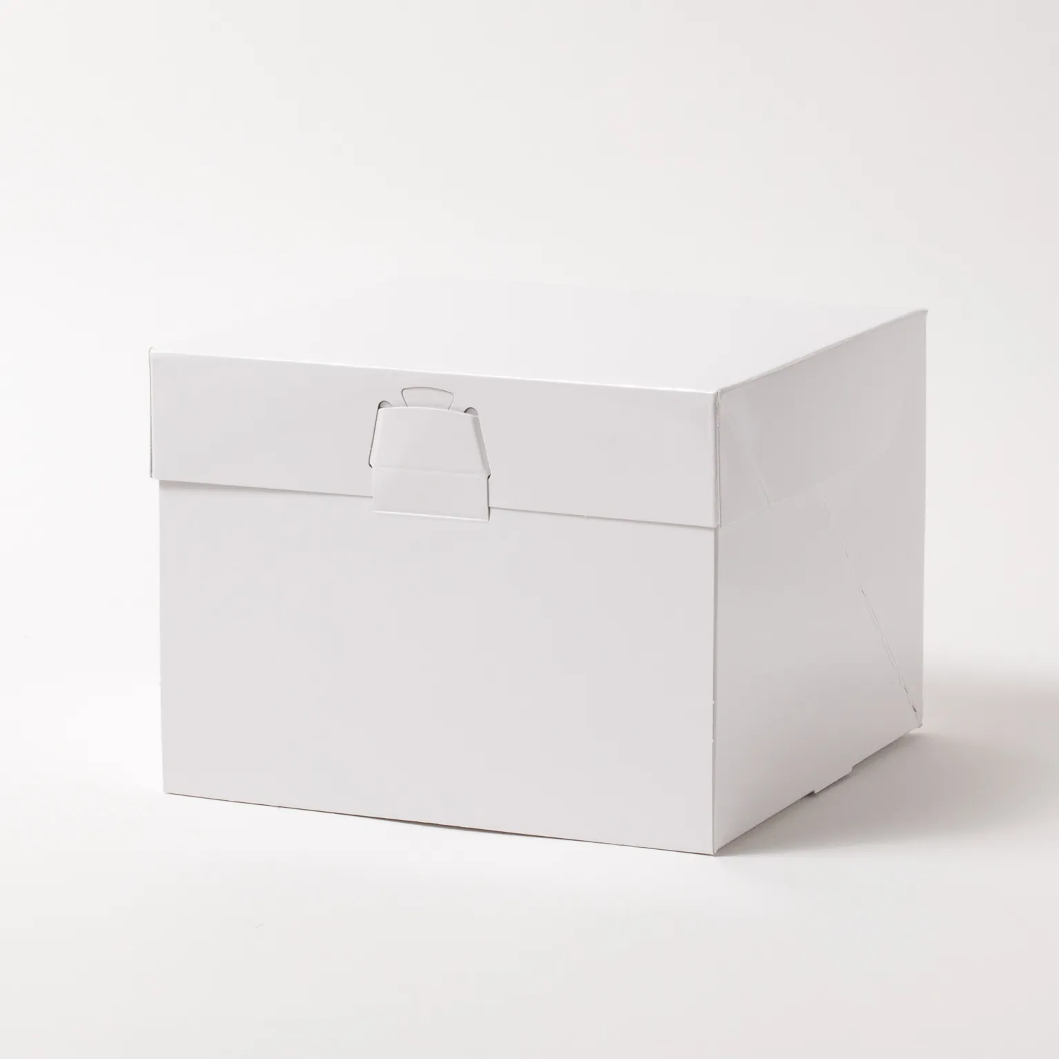 ロックBOX120プレス 160 100