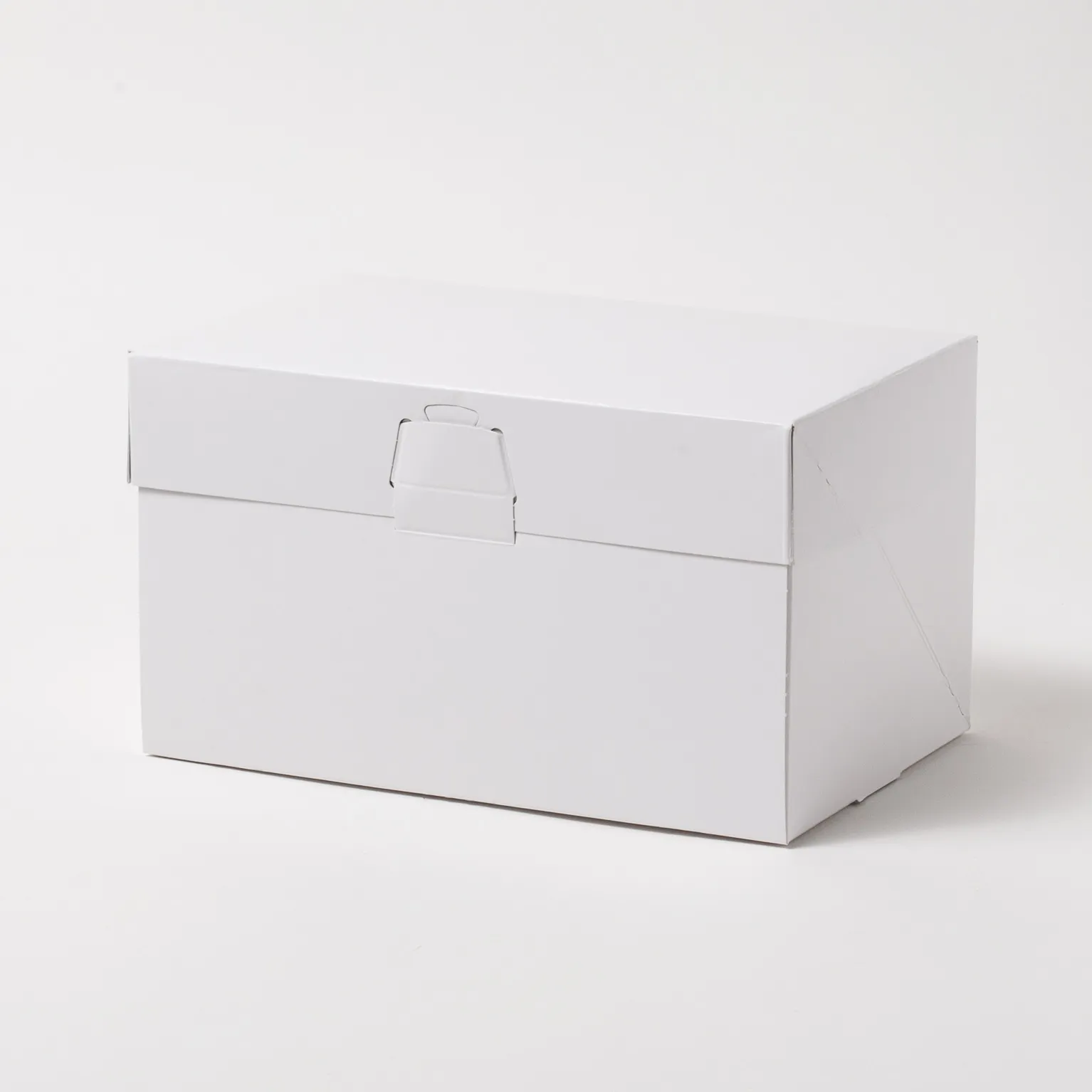ロックBOX105 ホワイト 4×6