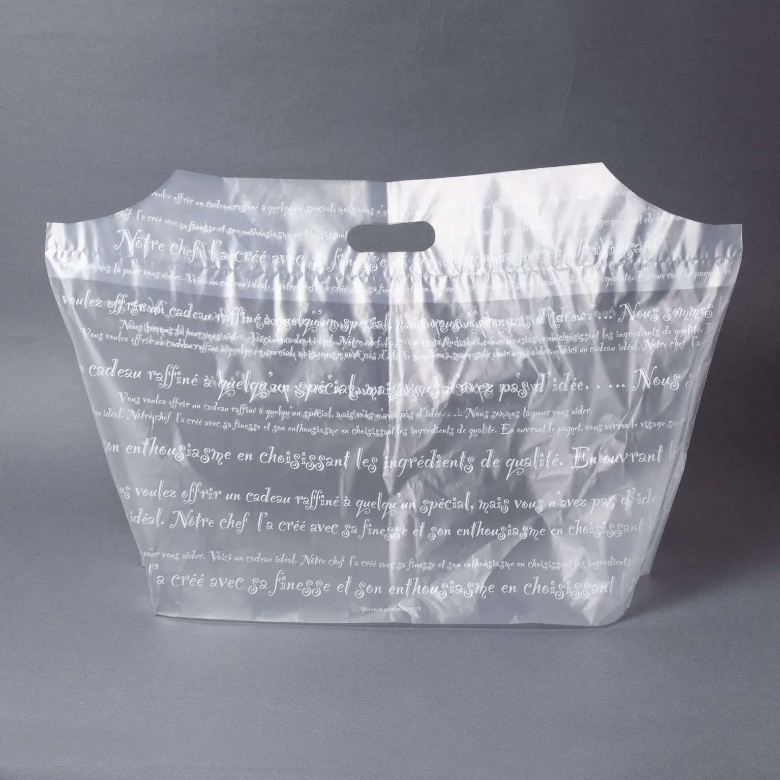 フラットバッグ バイオ25 L フランス 100