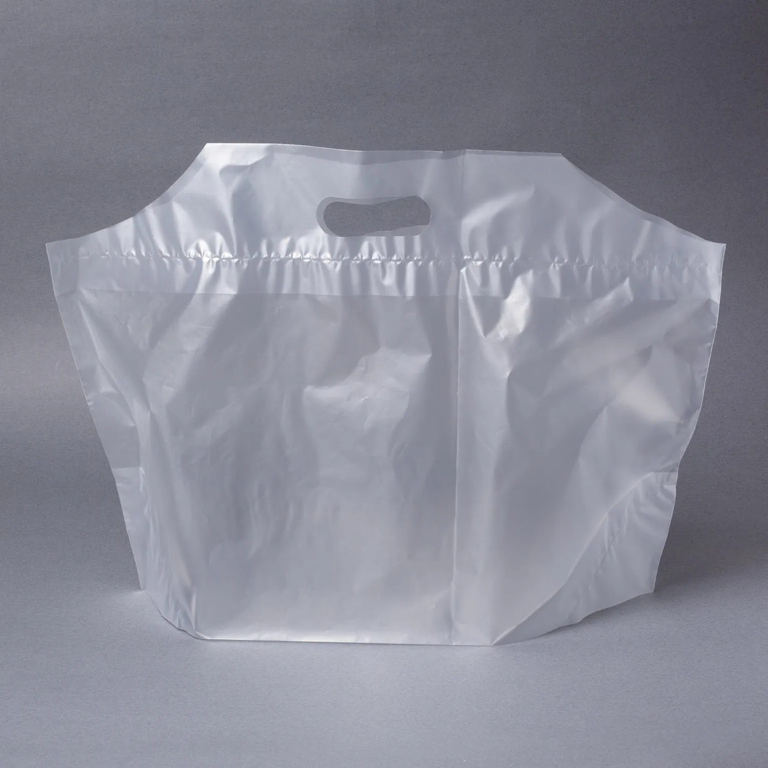 フラットバッグ S 無地 100