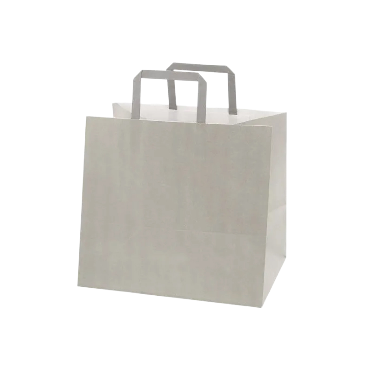 #3277122 Hフラットチャームバック 300-1 エコアッシュ 50