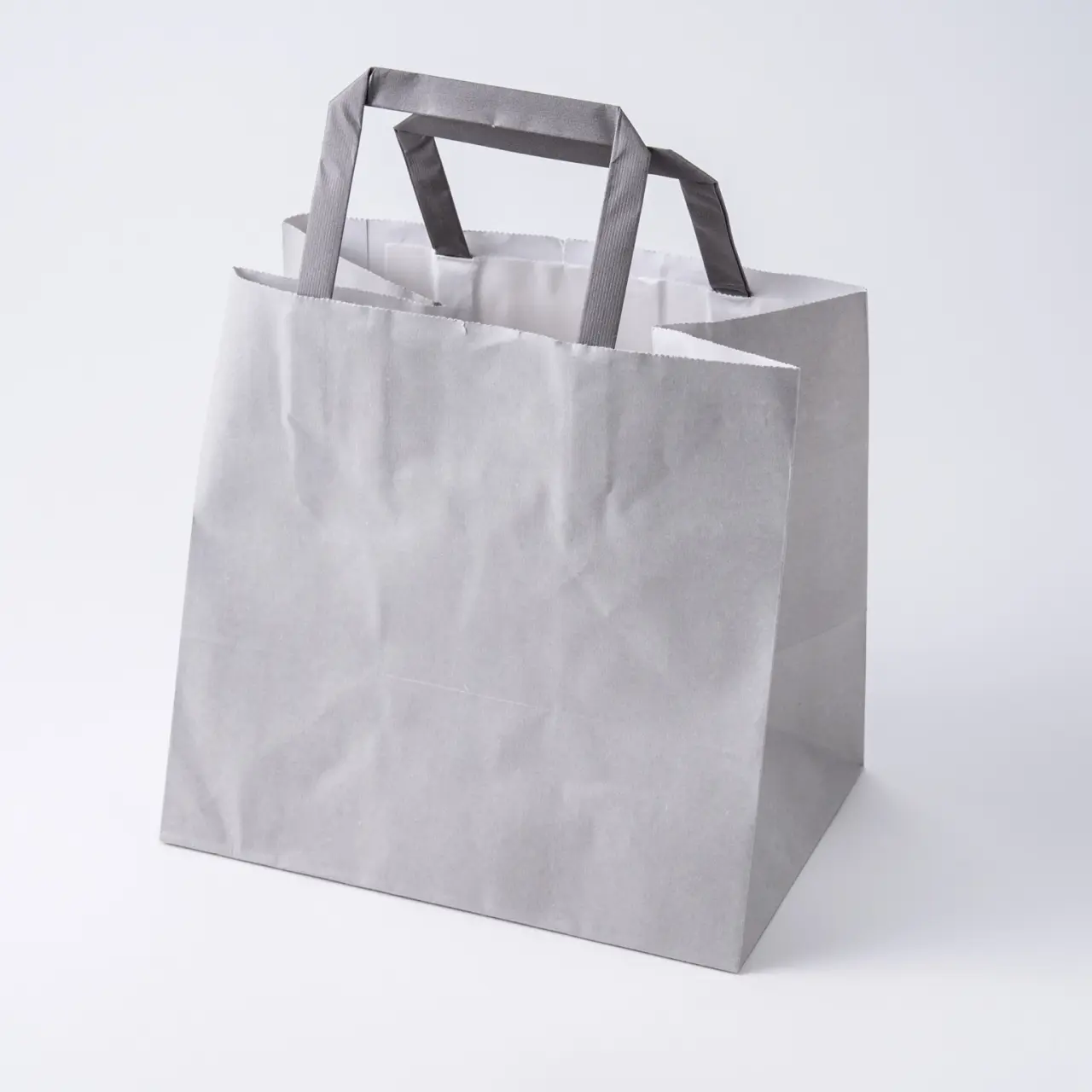 #3277322 Hフラットチャームバック 220-1 エコアッシュ 50