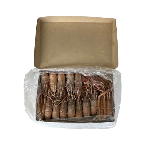 オーストラリア産スカンピ G2 （13/15） 1