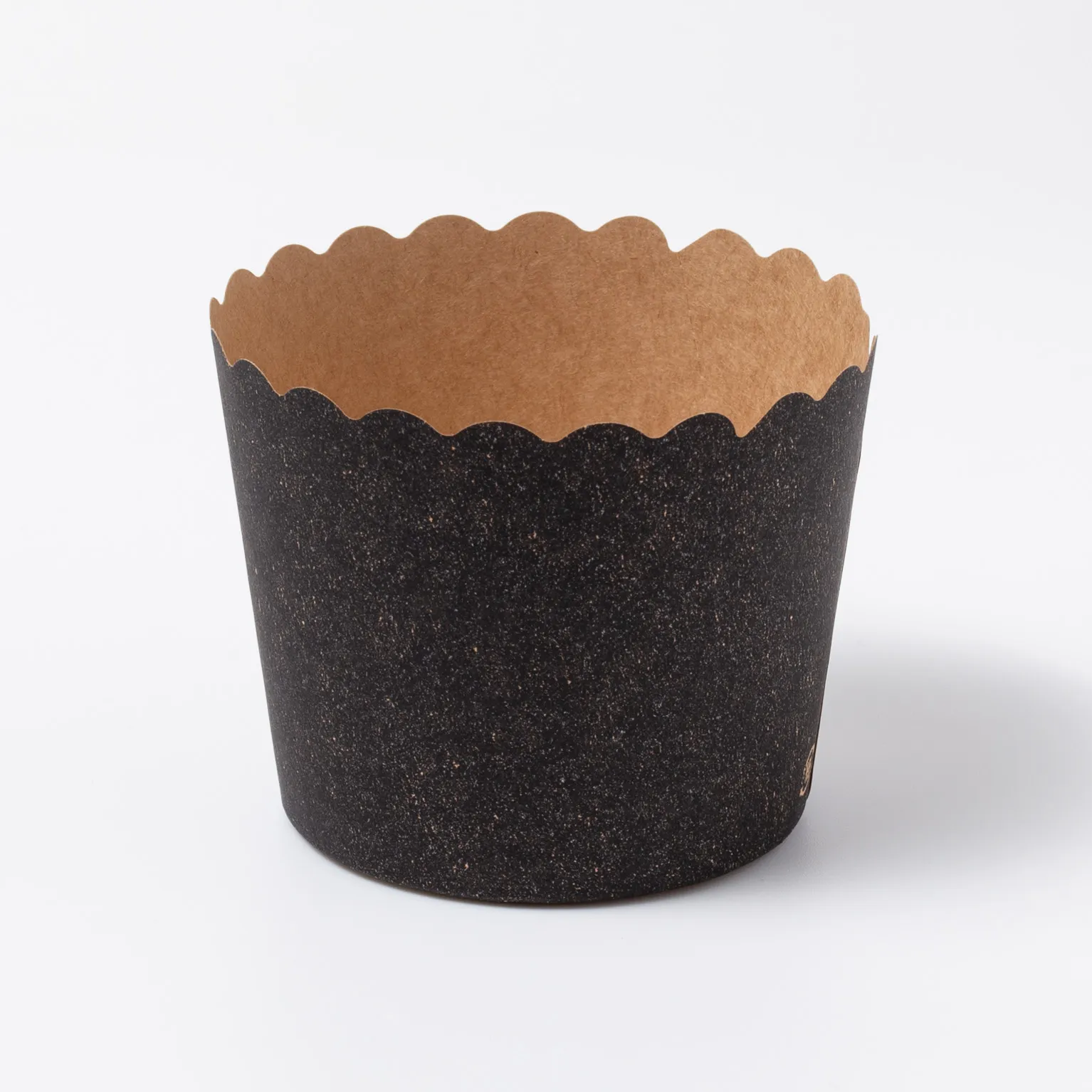 NP-6F(65H) アイアンBK 100