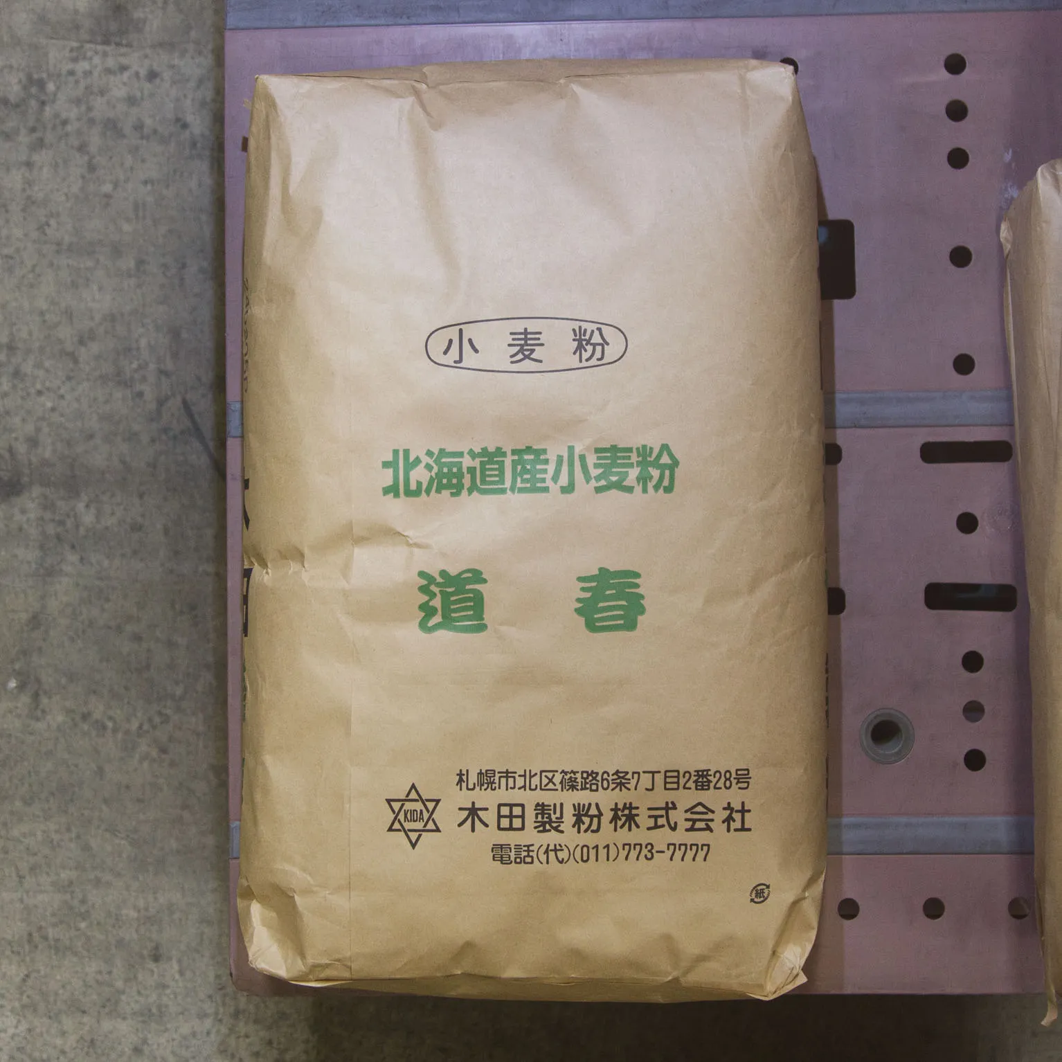 道春 10