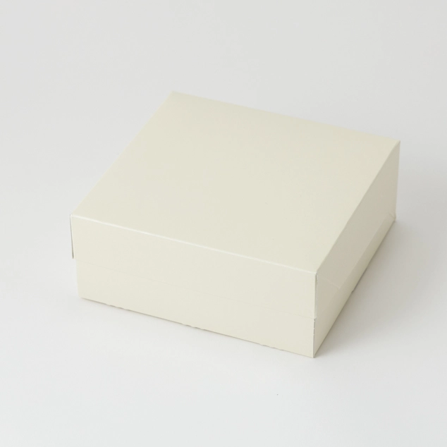 ロックBOX65アイボリー 160