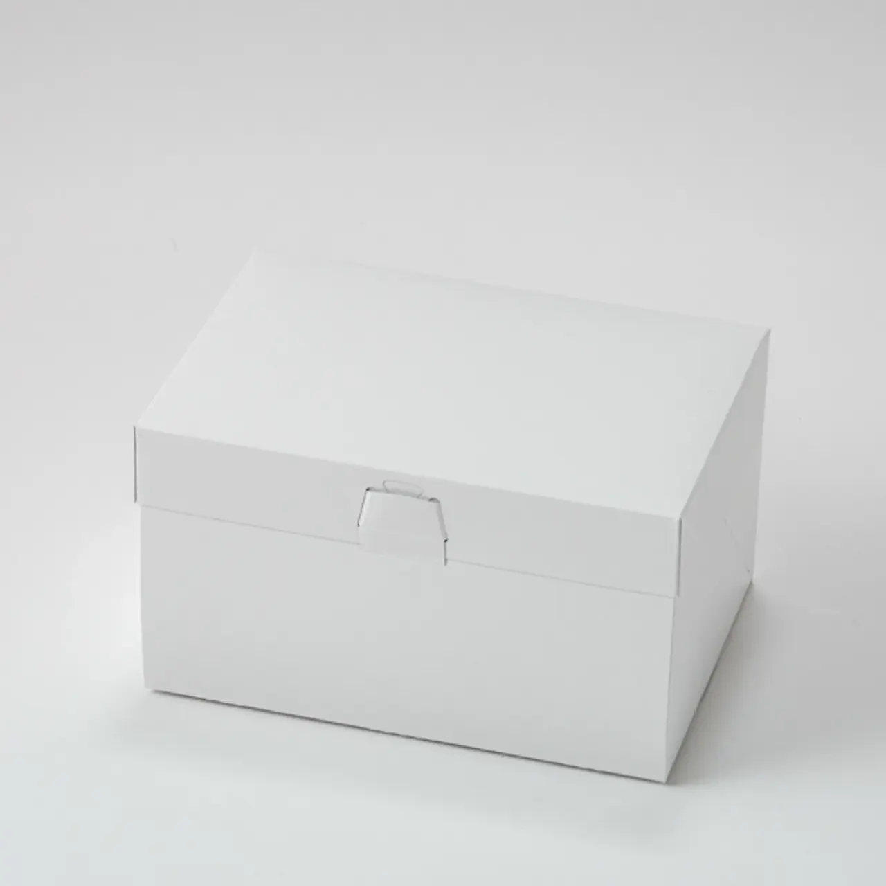 ロックBOX120 ホワイト 5×7