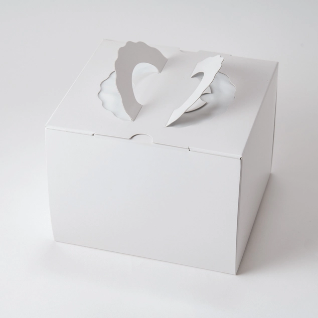 H155TSD 白無地 5寸