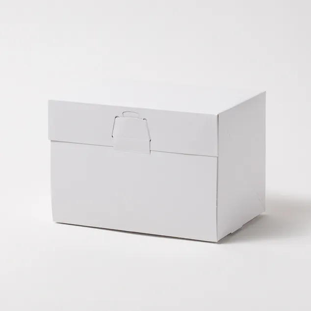 ロックBOX105 ホワイト