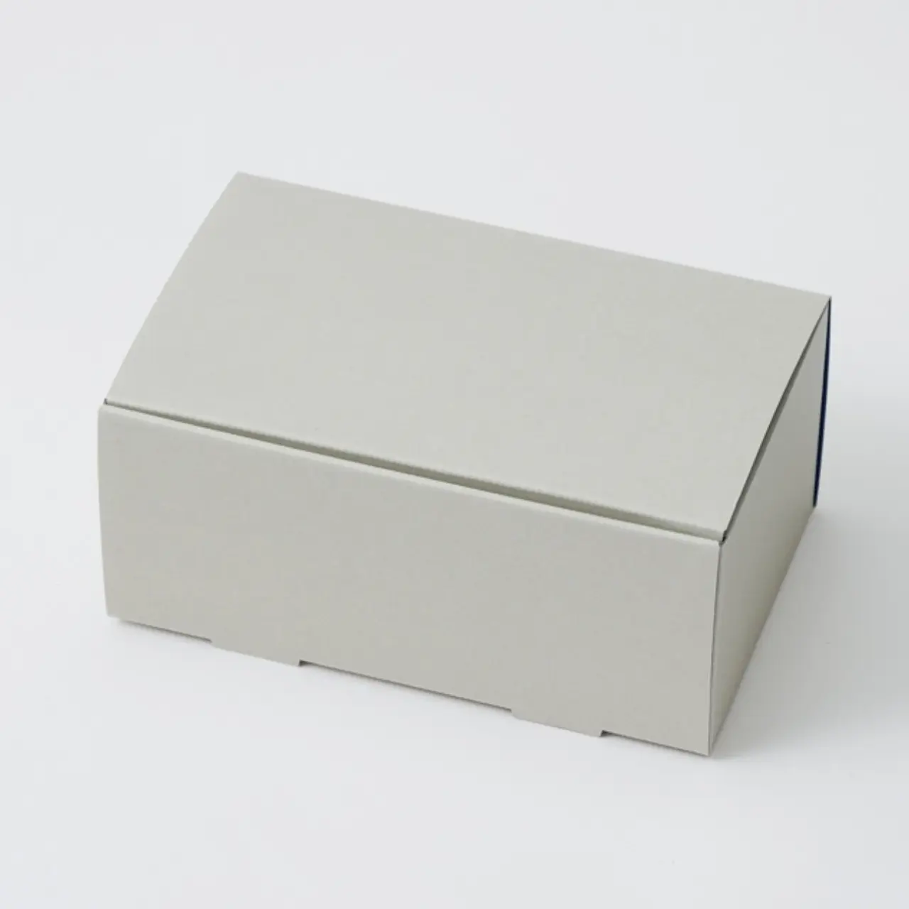 リバース65AN 1509