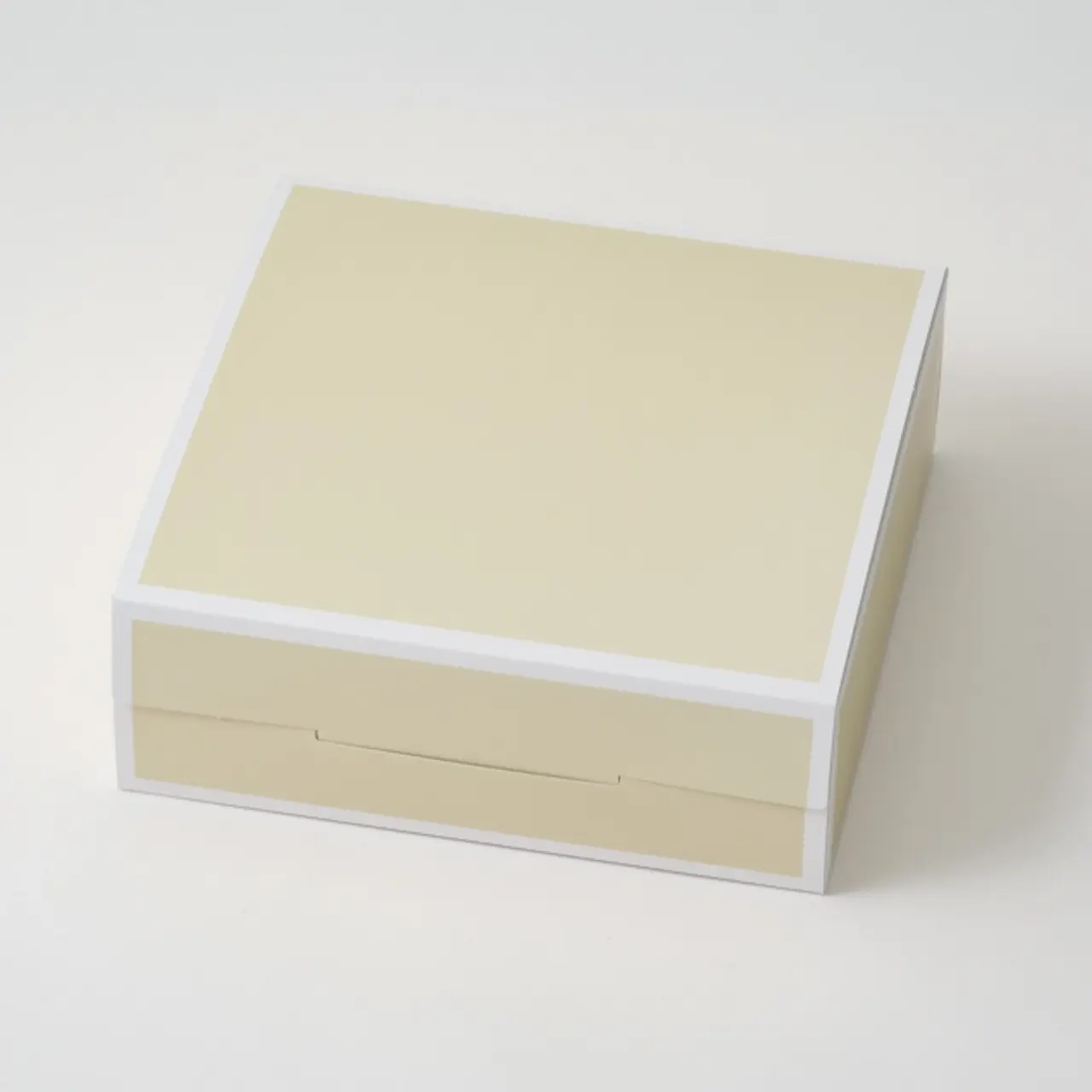 クールベージュ 5号