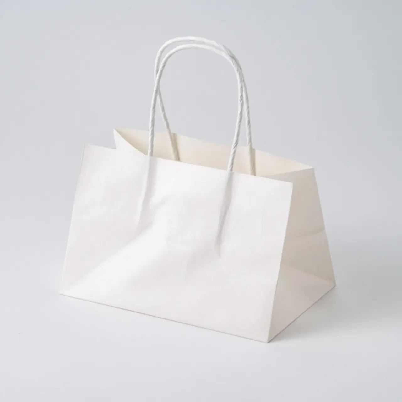 #3279301　オブロングバック20-13晒白無地