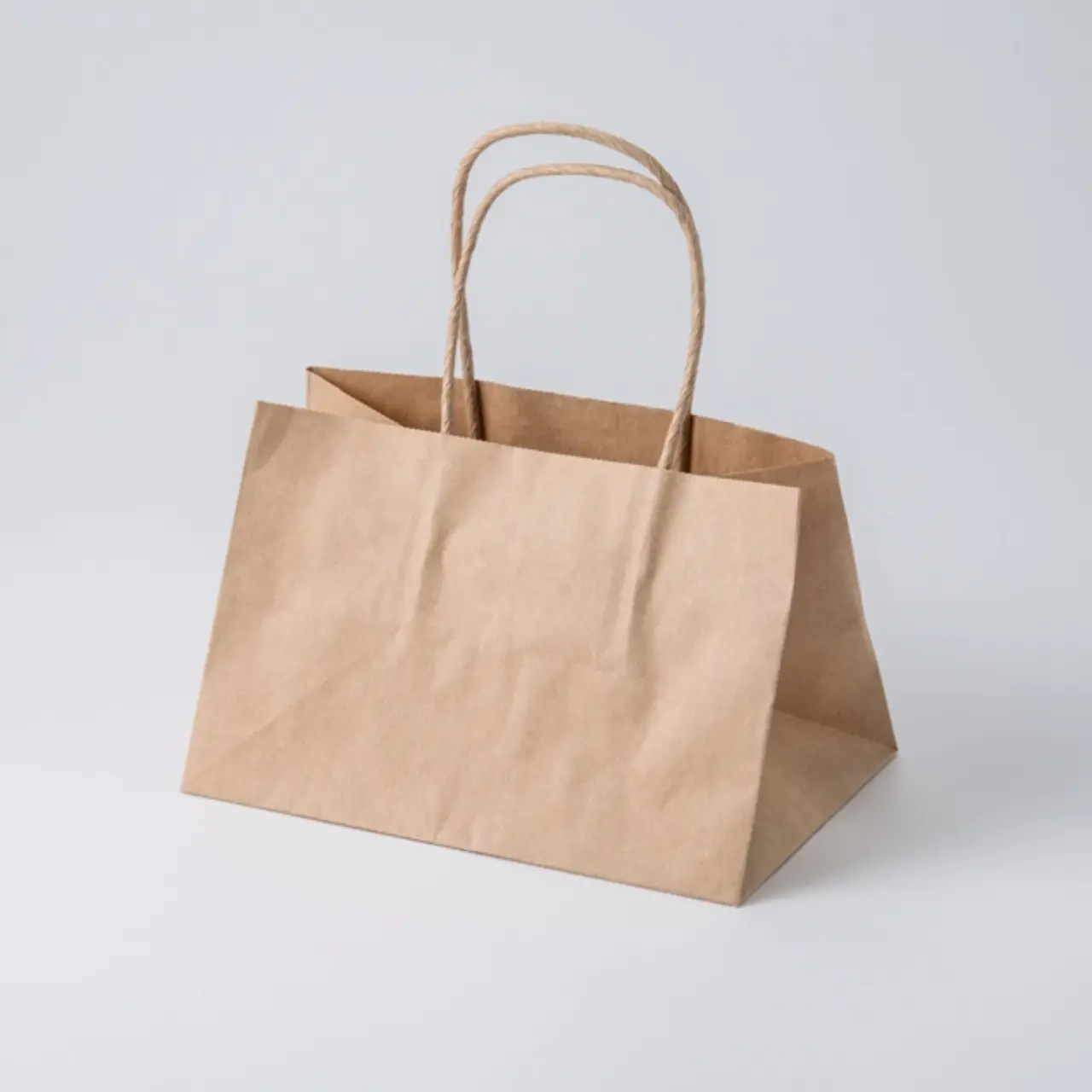 #3279302　オブロングバック20-13未晒