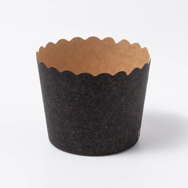 NP-6F(65H) アイアンBK